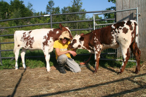 calves are like puppies